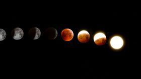 Fazele lunii în martie 2024: Când vom avea Luna Nouă și Luna Plină?